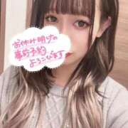 ヒメ日記 2025/12/12 08:04 投稿 いずみ 桃李（とうり）