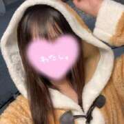 ヒメ日記 2025/12/21 06:04 投稿 いずみ 桃李（とうり）