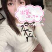 ヒメ日記 2025/12/30 07:06 投稿 いずみ 桃李（とうり）