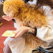 ヒメ日記 2025/12/21 03:15 投稿 もな ばつぐん素人プロダクション