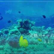 ヒメ日記 2025/08/07 07:39 投稿 さよこ 完熟ばなな八王子