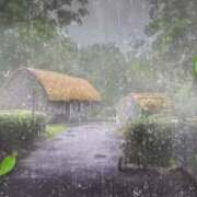 ヒメ日記 2025/08/10 19:20 投稿 さよこ 完熟ばなな八王子