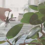 ヒメ日記 2025/08/14 07:29 投稿 さよこ 完熟ばなな八王子