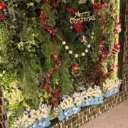 ヒメ日記 2025/11/18 19:29 投稿 さよこ 完熟ばなな八王子