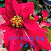 ヒメ日記 2025/12/22 20:09 投稿 さよこ 完熟ばなな八王子