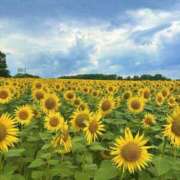 ヒメ日記 2025/08/27 20:45 投稿 みく 11チャンネル