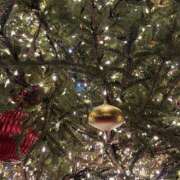 ヒメ日記 2025/12/14 18:29 投稿 小林りこ 五反田はじめてのエステ