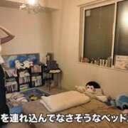 ヒメ日記 2026/07/06 21:06 投稿 南星 聖来 【セイラ】 クラブ ブレンダ難波店