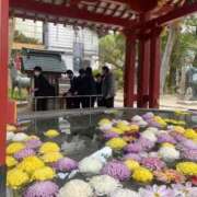 ヒメ日記 2025/11/29 21:12 投稿 りおん★純真無垢なモデル級JD Chloe五反田本店　S級素人清楚系デリヘル