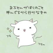 ヒメ日記 2026/08/08 04:53 投稿 れむ★永遠に輝く綺麗系美女 BEPPIN SELECTION ～べっぴんセレクション～