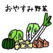 ヒメ日記 2026/09/30 01:55 投稿 れむ★永遠に輝く綺麗系美女 BEPPIN SELECTION ～べっぴんセレクション～