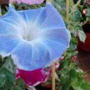 ヒメ日記 2025/08/12 18:02 投稿 みやび 山梨デリヘル 人妻物語 ～極～