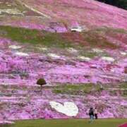 ヒメ日記 2025/08/24 23:47 投稿 みやび 山梨デリヘル 人妻物語 ～極～