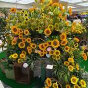 ヒメ日記 2025/09/06 12:38 投稿 みやび 山梨デリヘル 人妻物語 ～極～