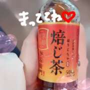 ヒメ日記 2025/12/09 12:27 投稿 なえ 姫コレクション