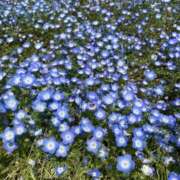 ヒメ日記 2025/08/12 19:47 投稿 まひる 熟女家 堺東店