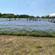 ヒメ日記 2026/02/06 14:57 投稿 まひる 熟女家 堺東店