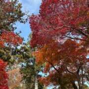 ヒメ日記 2026/02/12 09:07 投稿 まひる 熟女家 堺東店