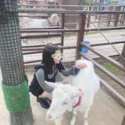 ヒメ日記 2025/08/29 15:40 投稿 はな FORTE