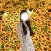 ヒメ日記 2025/12/01 20:51 投稿 紫花(すみれ) グランドオペラ福岡