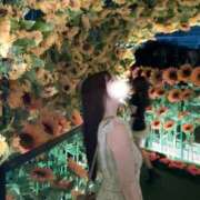 ヒメ日記 2025/12/02 14:02 投稿 紫花(すみれ) グランドオペラ福岡