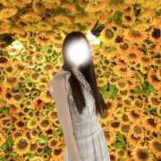 紫花(すみれ) どきどきッ🩷 グランドオペラ福岡