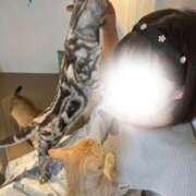 ヒメ日記 2025/08/09 01:49 投稿 ☆みなと☆ Kiseki