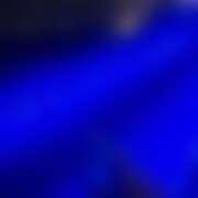 ヒメ日記 2025/09/15 20:30 投稿 すい パイの巣