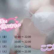 ヒメ日記 2025/08/20 17:16 投稿 ここな スピードエコ天王寺店