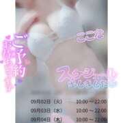 ヒメ日記 2025/09/01 03:00 投稿 ここな スピードエコ天王寺店