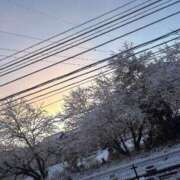 ヒメ日記 2026/01/03 07:43 投稿 いと 人妻倶楽部 内緒の関係 川越店