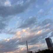 ヒメ日記 2026/09/03 09:33 投稿 いと 人妻倶楽部 内緒の関係 川越店