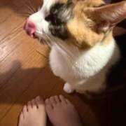 ヒメ日記 2025/10/20 20:29 投稿 ここあ 東京リップ 立川店