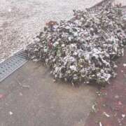 ヒメ日記 2026/02/08 18:27 投稿 るな【性感】 性感エステBianca豊中店