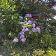 こなつ ごめんなさい😢 厚木人妻城