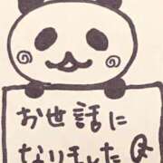 宮内くみ 10日間ありがとう 五十路マダム 岐阜店