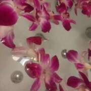 ヒメ日記 2025/09/02 14:38 投稿 あんな CELEB FACE FUKUOKA