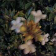 ヒメ日記 2025/08/05 19:49 投稿 りりな アイムシェイク