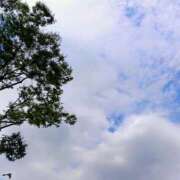 ヒメ日記 2025/08/09 20:29 投稿 りりな アイムシェイク