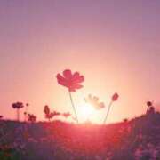 ゆな リピート? 西川口コスプレメイド学園（シンデレラグループ）