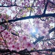 ヒメ日記 2026/03/22 08:10 投稿 ゆな 西川口コスプレメイド学園（シンデレラグループ）