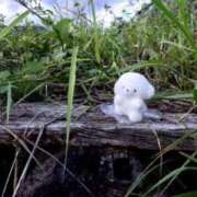 ヒメ日記 2025/09/30 00:06 投稿 いずみ あふたーすくーる