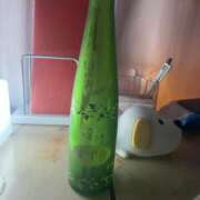 ヒメ日記 2025/11/11 22:31 投稿 いずみ あふたーすくーる