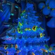 ヒメ日記 2026/03/31 23:30 投稿 いずみ あふたーすくーる