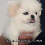 ヒメ日記 2025/08/07 17:57 投稿 みみ あふたーすくーる