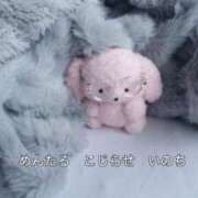 ヒメ日記 2025/08/12 15:45 投稿 みみ あふたーすくーる