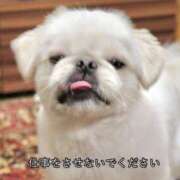 ヒメ日記 2025/08/16 14:37 投稿 みみ あふたーすくーる