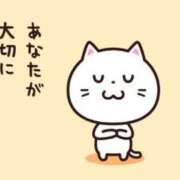 ヒメ日記 2025/11/06 17:12 投稿 みみ あふたーすくーる