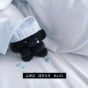 ヒメ日記 2025/11/29 14:22 投稿 みみ あふたーすくーる