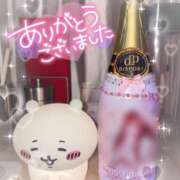 ヒメ日記 2025/12/09 02:19 投稿 みみ あふたーすくーる